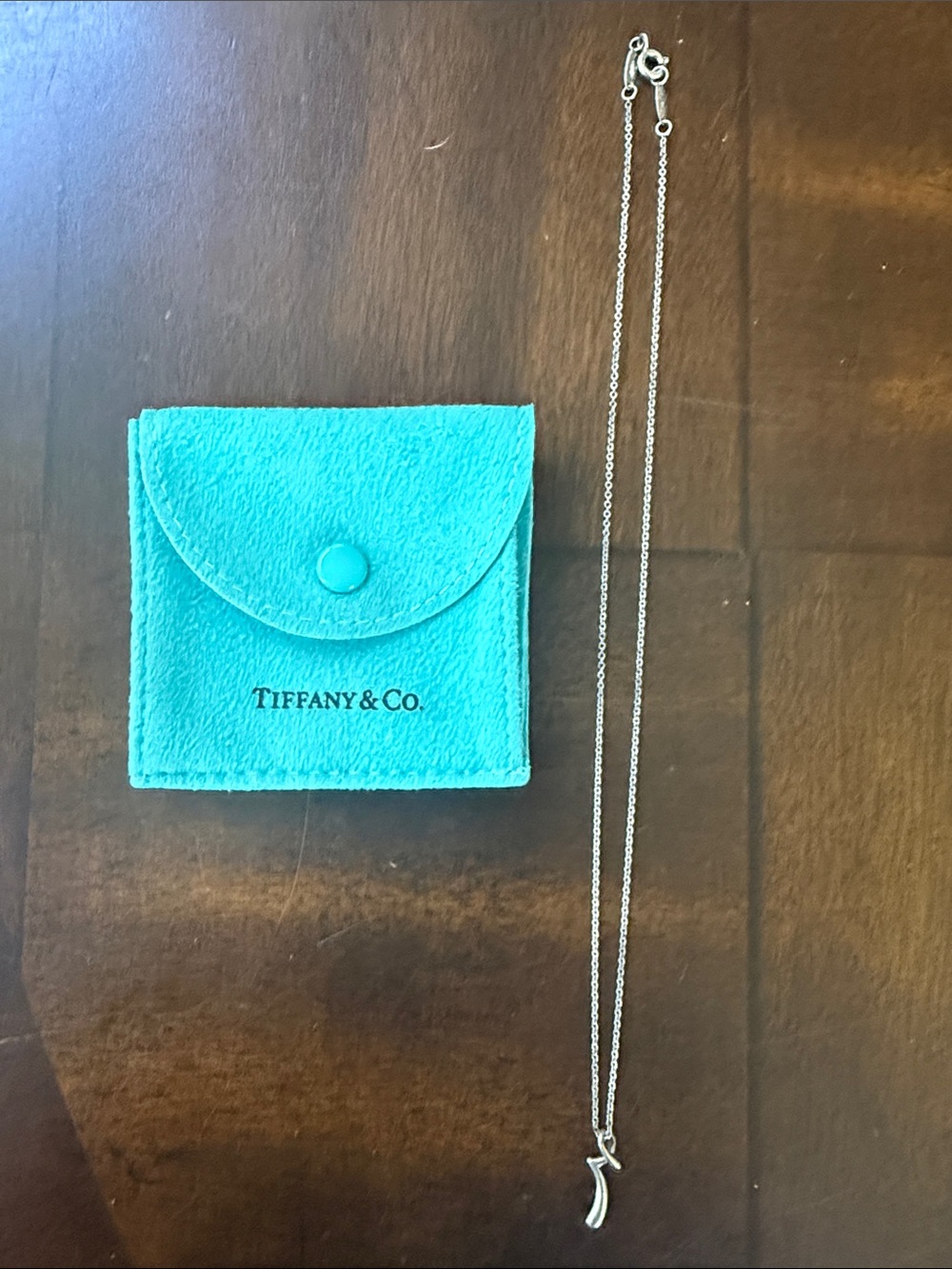 Tiffany & Co. Silver Necklace with Tiffany Blue Box and Pouch